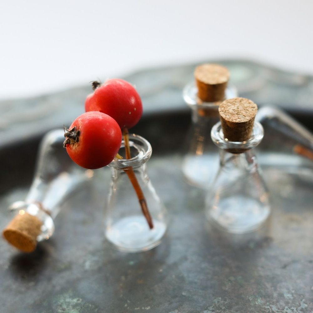 колба с крышкой, прозрачная, 24x16 мм