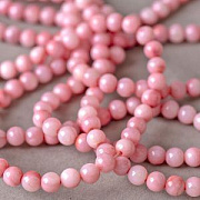 Бусина из ракушки, "Сишелл", цвет коралловый, колорир., 6 мм