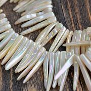 Бусина из ракушки, "Бивень", волнистая поверхность, сливочный перламутр, 19-48x4-8x3-6 мм